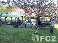 動画:BBQ